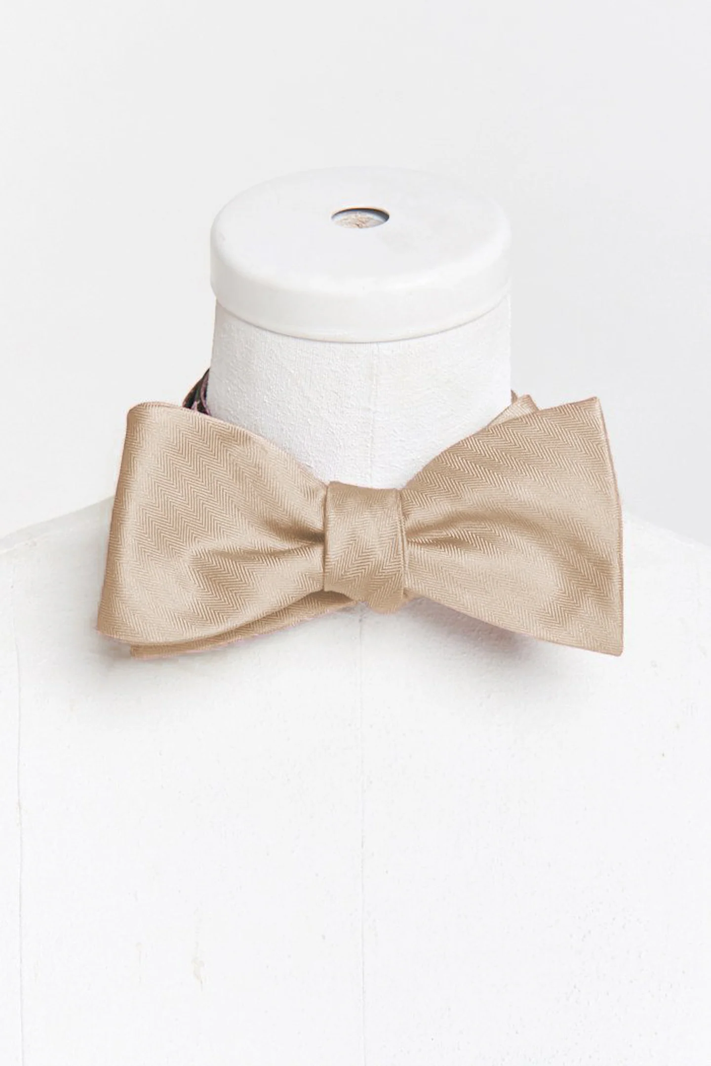 Josh Bow Tie ~ Champagne Solid - Image 2